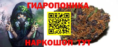 СК Можга