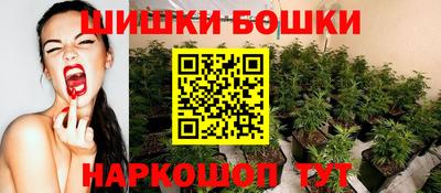Альфа ПВП Нальчик