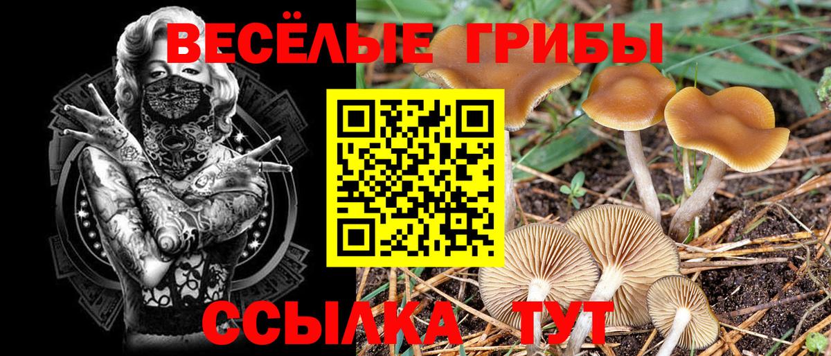 Галлюциногенные грибы прущие грибы Хасавюрт