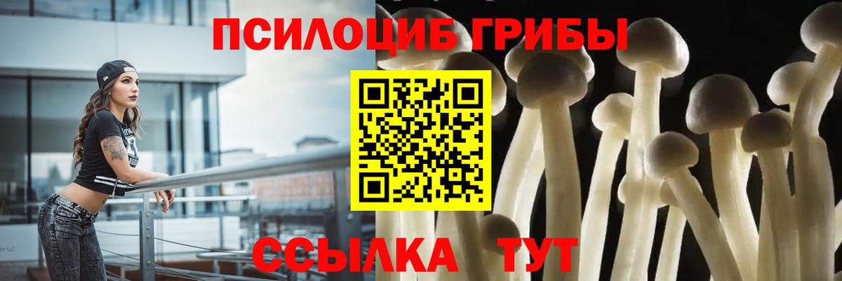 Псилоцибиновые грибы прущие грибы  Псилоцибиновые грибы Magic Shrooms  Вход с VPN  Хасавюрт 