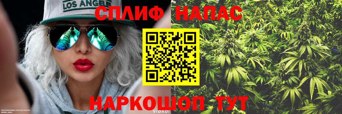 Канабис ГИДРОПОН Хасавюрт